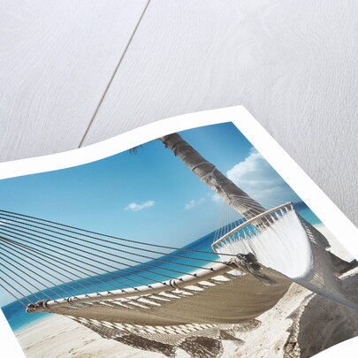Hammock on a Beach by Anonymous