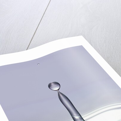 Droplet of Water and Ripple by Anonymous