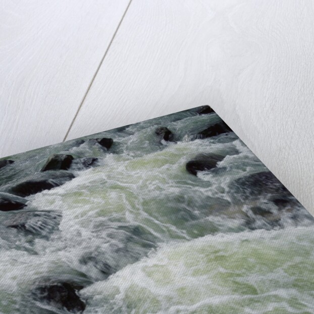 River Rapids by Anonymous