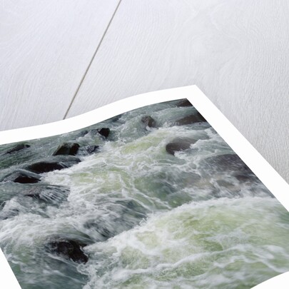 River Rapids by Anonymous