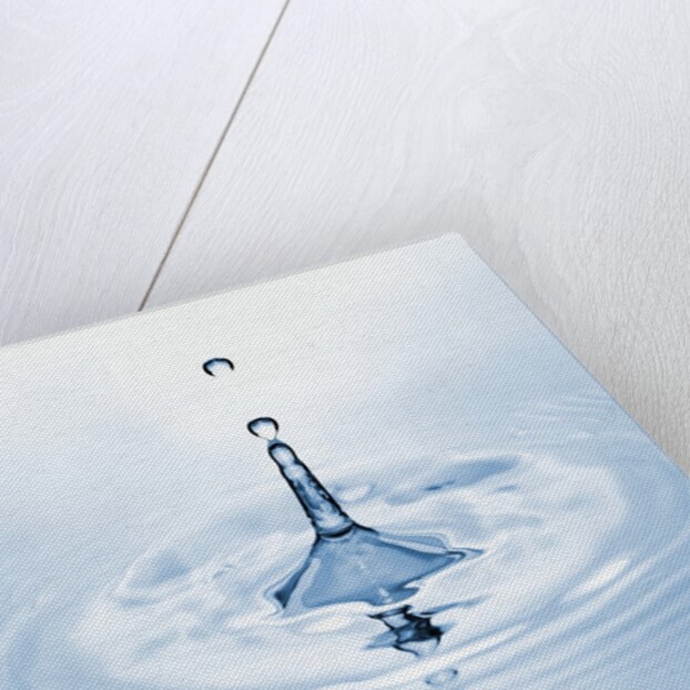 Water Droplet and Ripple by Anonymous