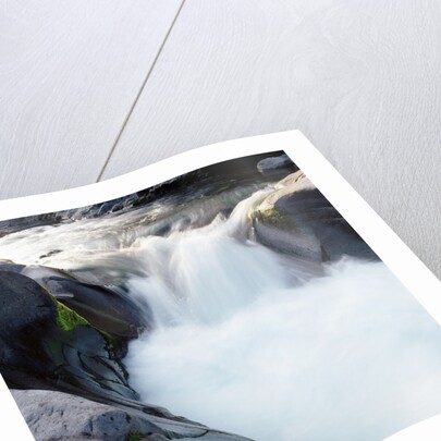 Rapids Churning River by Anonymous