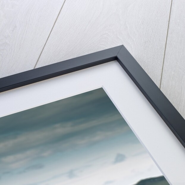 Highlander Bull by Anonymous