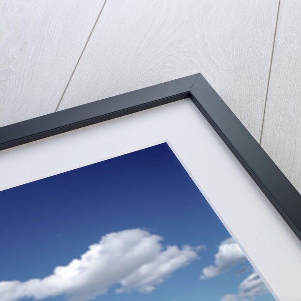 River Running Through Countryside by Anonymous