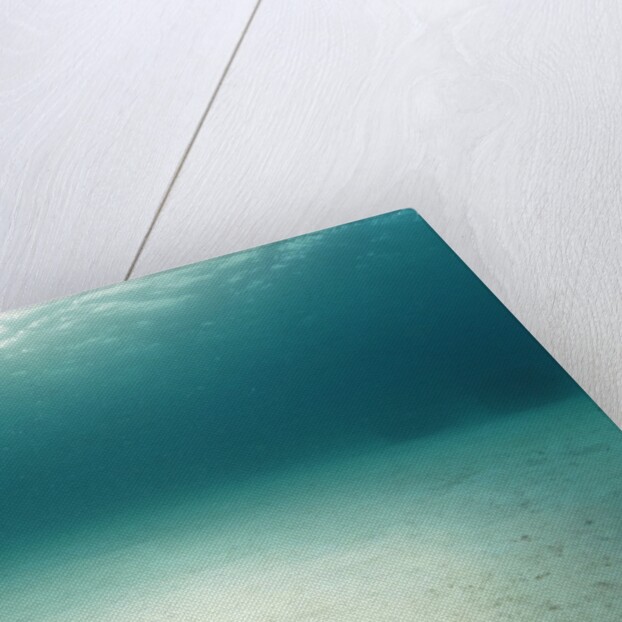 Blue Sea Star in Open Ocean by Anonymous