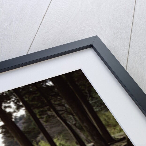 A stone footpath by Anonymous