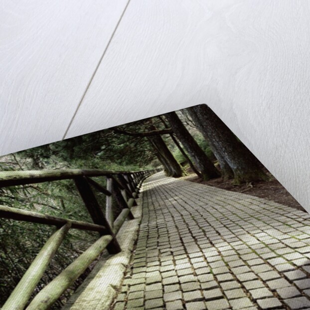 A footpath and barrier by Anonymous