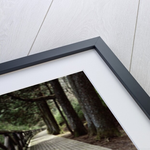 A footpath and barrier by Anonymous