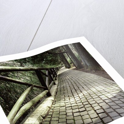 A footpath and barrier by Anonymous