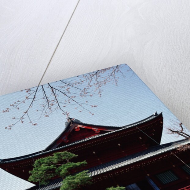 Exterior of an Asian building by Anonymous