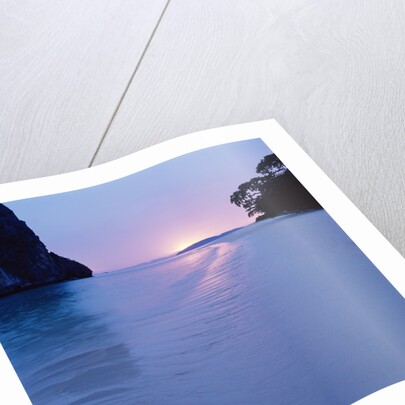 Tropical Beach by Anonymous