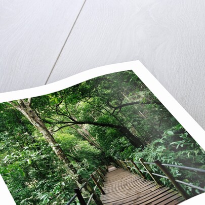 Wooden Bridge Thailand by Anonymous