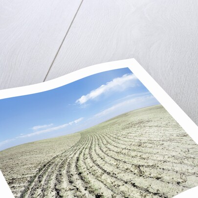 Dry furrowed farmland by Anonymous