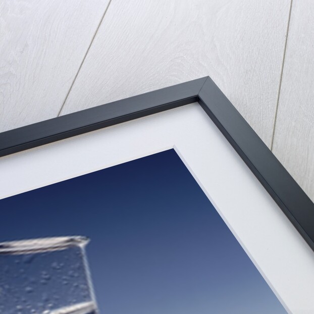 Bubbling Liquid in Test Tube by Anonymous