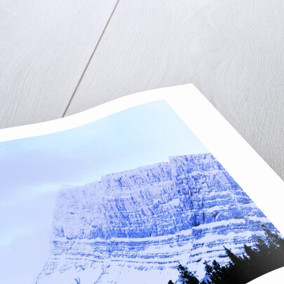 Snow-Covered Mountain Above Tree Line by Anonymous