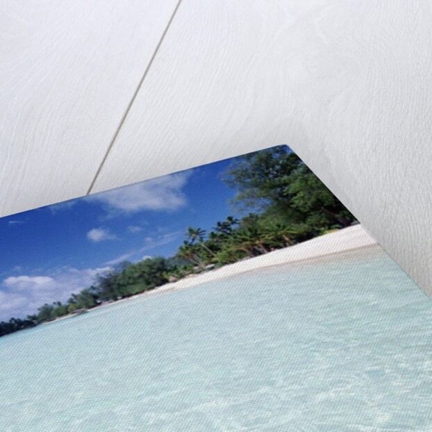 Tropical Beach by Anonymous