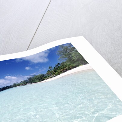 Tropical Beach by Anonymous