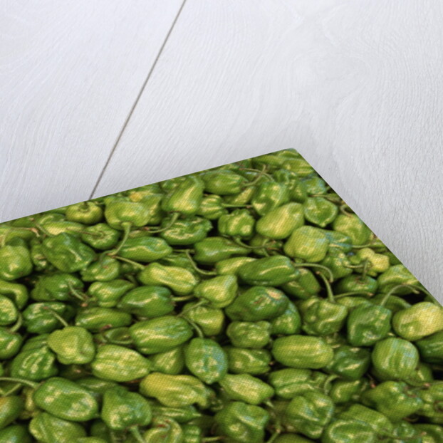 Habanero Chilies at the Central Market by Anonymous