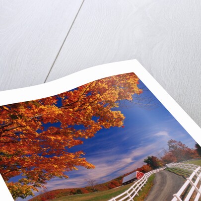 White Wooden Fence Along Farm by Anonymous