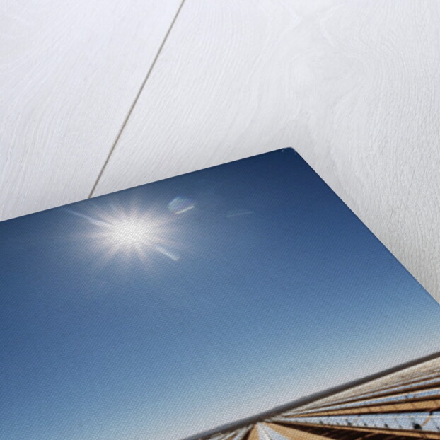 Technician at Solar Power Plant by Anonymous