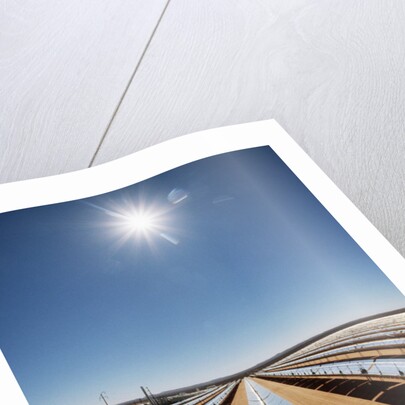 Technician at Solar Power Plant by Anonymous