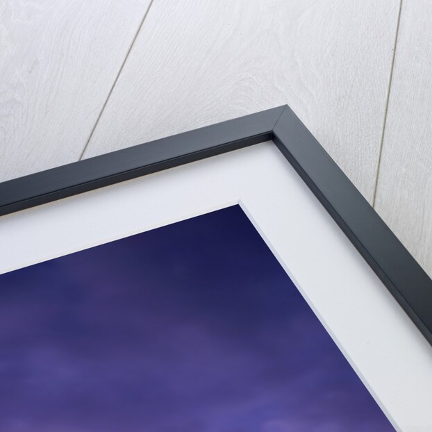 Hale Telescope Inside Its Dome by Anonymous