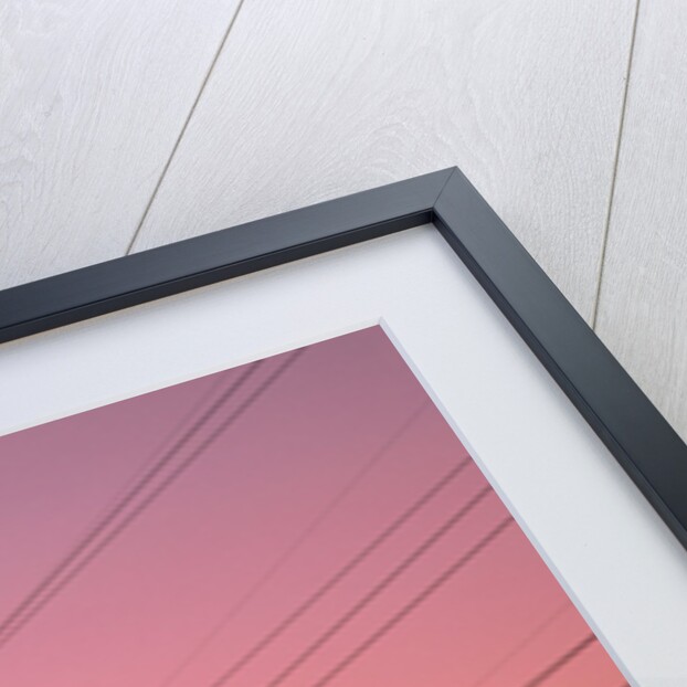 Sunset Behind Electrical Towers by Anonymous