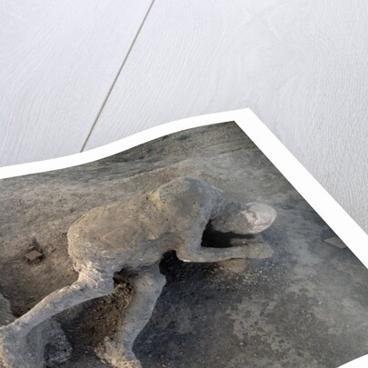Bodies in Pompeii by Anonymous