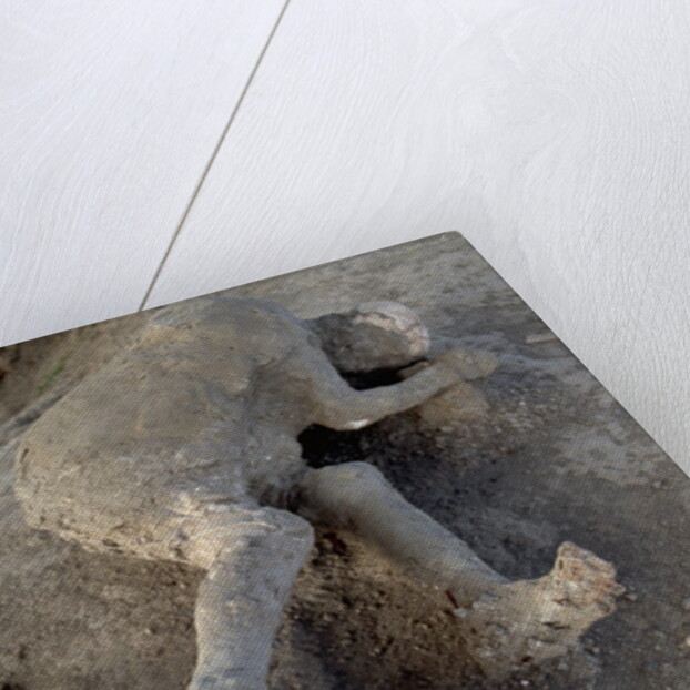 Bodies in Pompeii by Anonymous