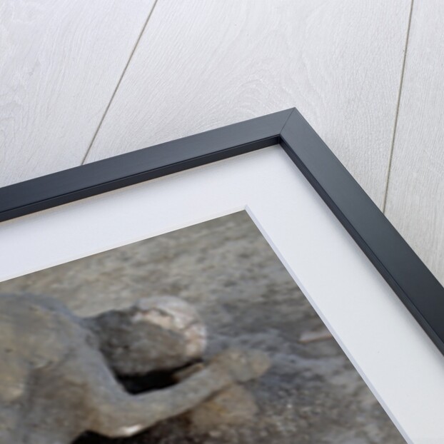 Bodies in Pompeii by Anonymous