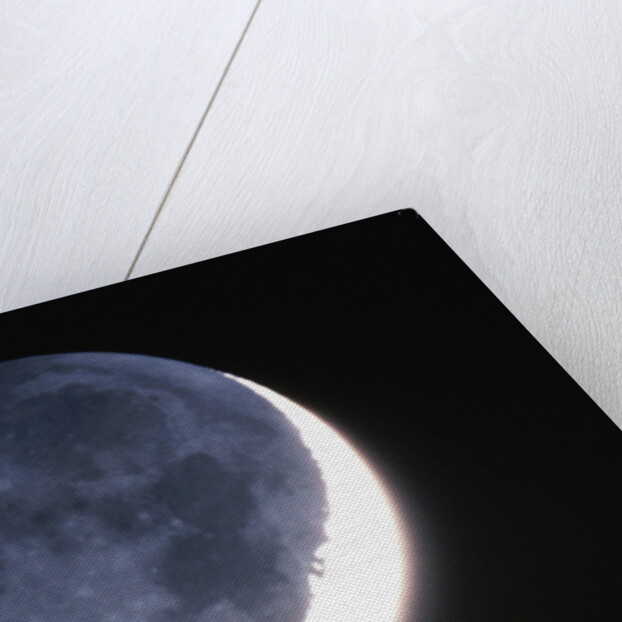 Crescent Moon with Earthshine by Anonymous