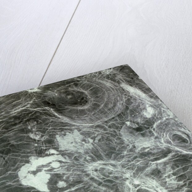 Arachnoid Volcanoes on Venus by Anonymous