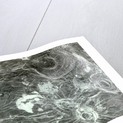 Arachnoid Volcanoes on Venus by Anonymous