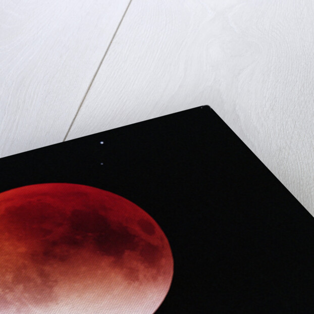 Lunar Eclipse by Anonymous