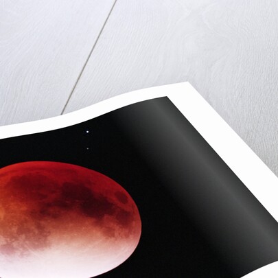 Lunar Eclipse by Anonymous