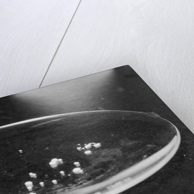 Crack Granules by Anonymous