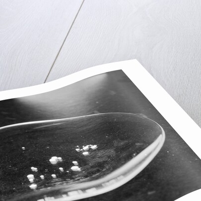 Crack Granules by Anonymous