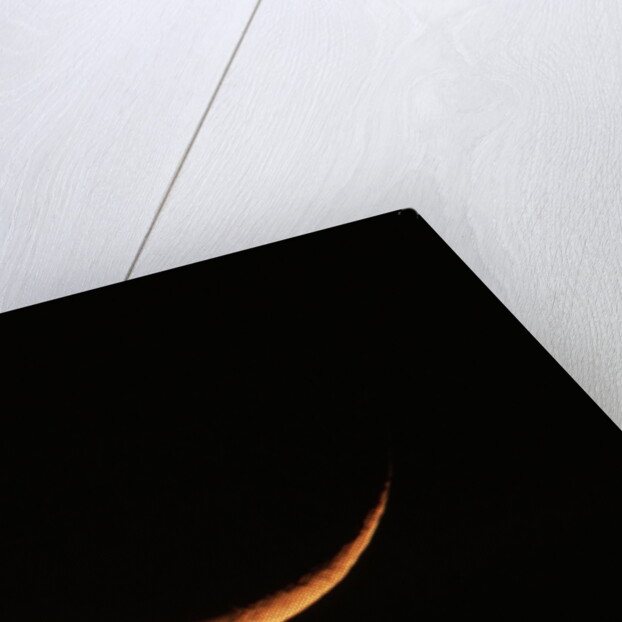 Crescent Moon Setting by Anonymous