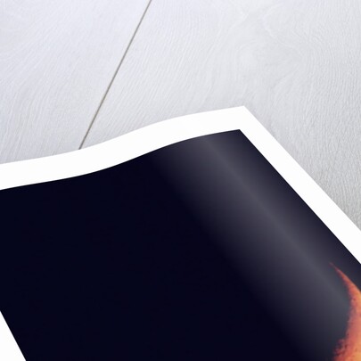 Crescent Moon Setting by Anonymous