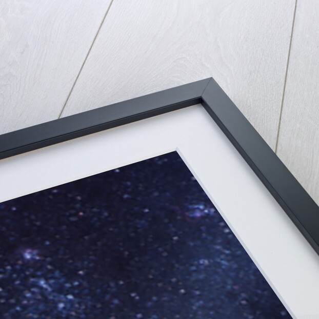 Supernova 1987A by Anonymous