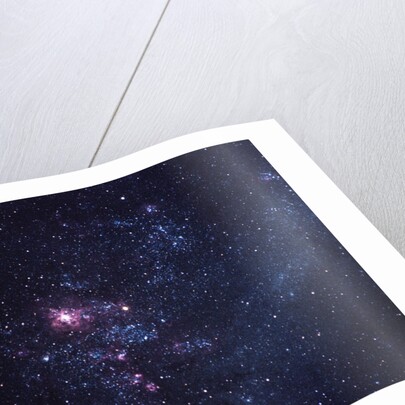 Supernova 1987A by Anonymous