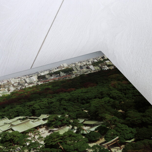 Meiji Shrine by Anonymous