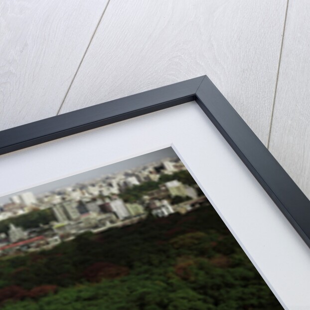 Meiji Shrine by Anonymous