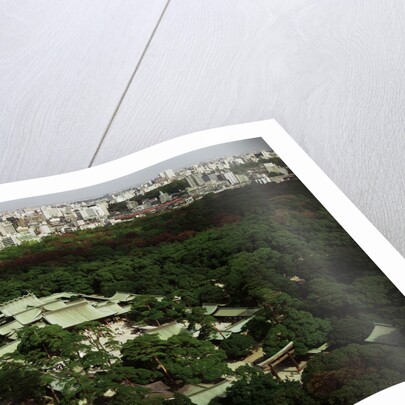 Meiji Shrine by Anonymous