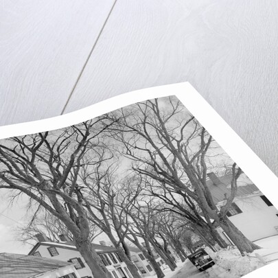 Neighborhood near Passamaquoddy Bay by Anonymous