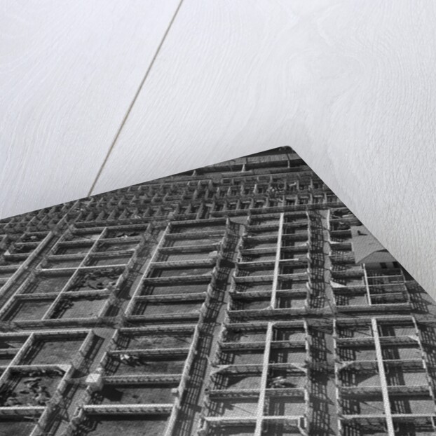 Fort Worth Stockyard by Anonymous