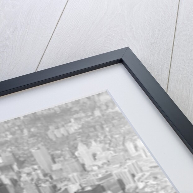 Aerial Views of New York City by Anonymous