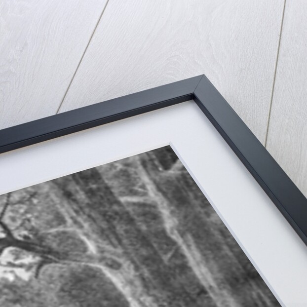 Merlin Painting Knight's Shield by Anonymous