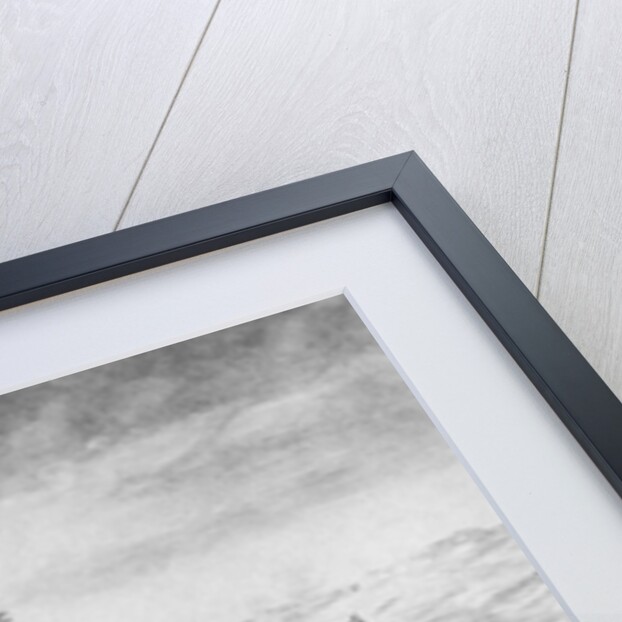 Louis XIV on Horse by Anonymous