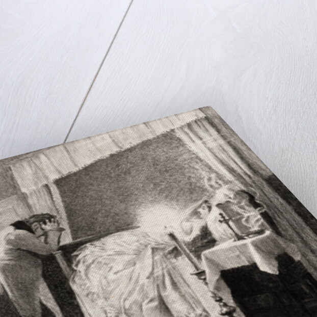 Scene from Madame Bovary by Gustave Flaubert